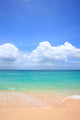 Beach Resort Wall Decal