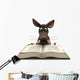 Cartoon Mouse Reading Wall Decal