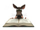 Cartoon Mouse Reading Wall Decal