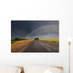 Rainbow over Road Wall Decal