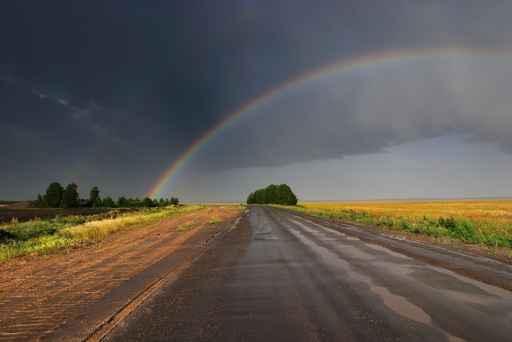 Rainbow over Road Wall Decal