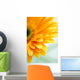 Closeup Photo Yellow Daisy-gerbera Wall Decal Design 3