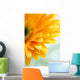 Closeup Photo Yellow Daisy-gerbera Wall Decal Design 3