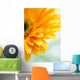 Closeup Photo Yellow Daisy-gerbera Wall Decal Design 3