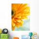 Closeup Photo Yellow Daisy-gerbera Wall Decal Design 3