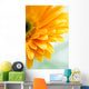 Closeup Photo Yellow Daisy-gerbera Wall Decal Design 3