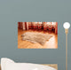 Sheepskin Carpet Wooden Floor Wall Decal