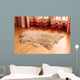 Sheepskin Carpet Wooden Floor Wall Decal