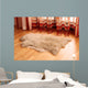 Sheepskin Carpet Wooden Floor Wall Decal