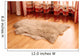 Sheepskin Carpet Wooden Floor Wall Decal