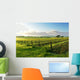 Vineyard Sunrise Wall Decal