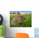 Rabbit Wall Decal