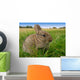 Rabbit Wall Decal