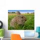 Rabbit Wall Decal