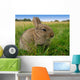 Rabbit Wall Decal