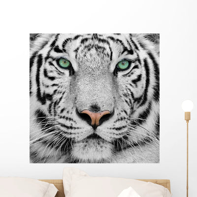 White Tiger Wall Decal shown on a wall