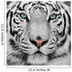 White Tiger Wall Decal