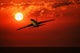 Airplane Flying In Sunrise/Sunset Wall Mural