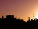 Sunset Parisien Wall Decal