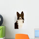 Collie8 Wall Decal