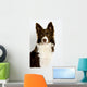 Collie8 Wall Decal