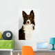 Collie8 Wall Decal