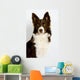 Collie8 Wall Decal