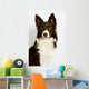 Collie8 Wall Decal