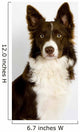 Collie8 Wall Decal