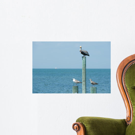 Birds Prey Wall Decal