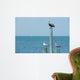 Birds Prey Wall Decal