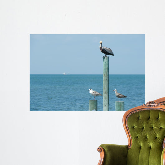 Birds Prey Wall Decal