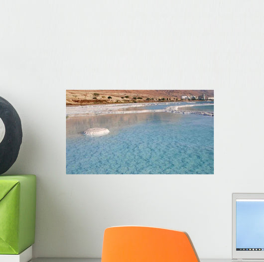 Salty Iceberg Wall Decal
