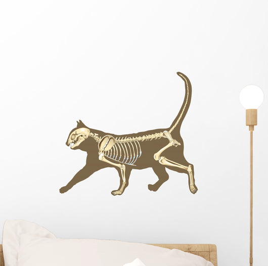 Cat Skeleton Wall Decal