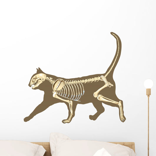Cat Skeleton Wall Decal