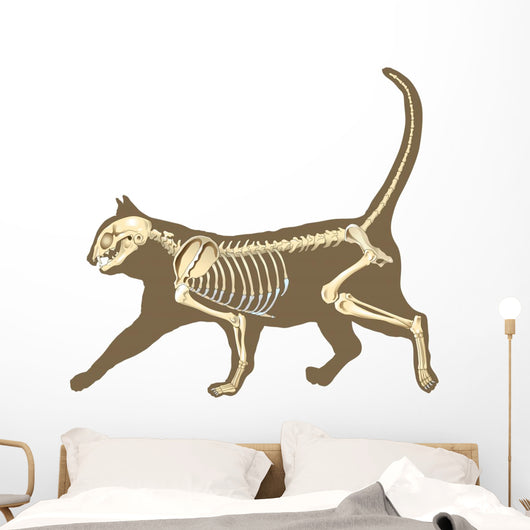 Cat Skeleton Wall Decal