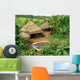 Thatched Hut Ethiopia Wall Decal Design 4