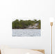 Brown Pelican Flying Sunset Wall Mural