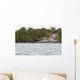 Brown Pelican Flying Sunset Wall Mural