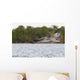 Brown Pelican Flying Sunset Wall Mural