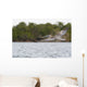 Brown Pelican Flying Sunset Wall Mural