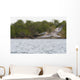 Brown Pelican Flying Sunset Wall Mural