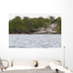 Brown Pelican Flying Sunset Wall Mural