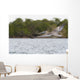 Brown Pelican Flying Sunset Wall Mural
