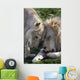 Loving African Lions Wall Decal