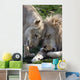 Loving African Lions Wall Decal