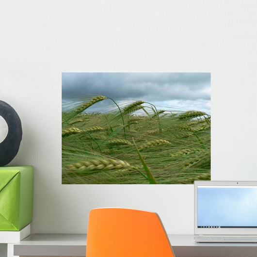 Wind Wheat Wall Decal