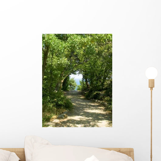 Sun Pathway Wall Decal