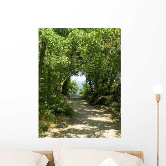 Sun Pathway Wall Decal