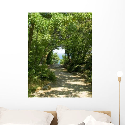 Sun Pathway Wall Decal